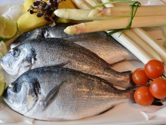 Ryba w diecie lekkostrawnej